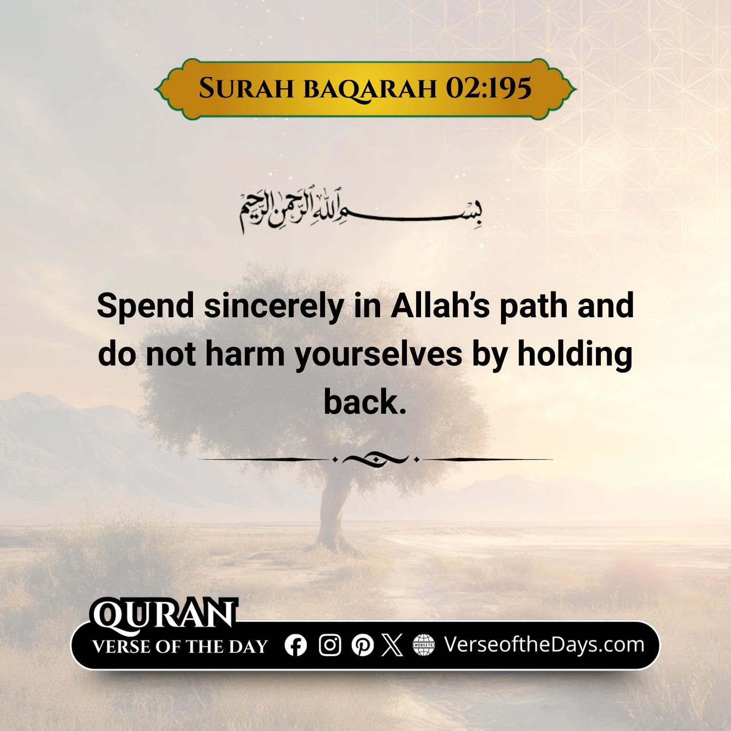 Surah Al-Baqarah Verse 195
