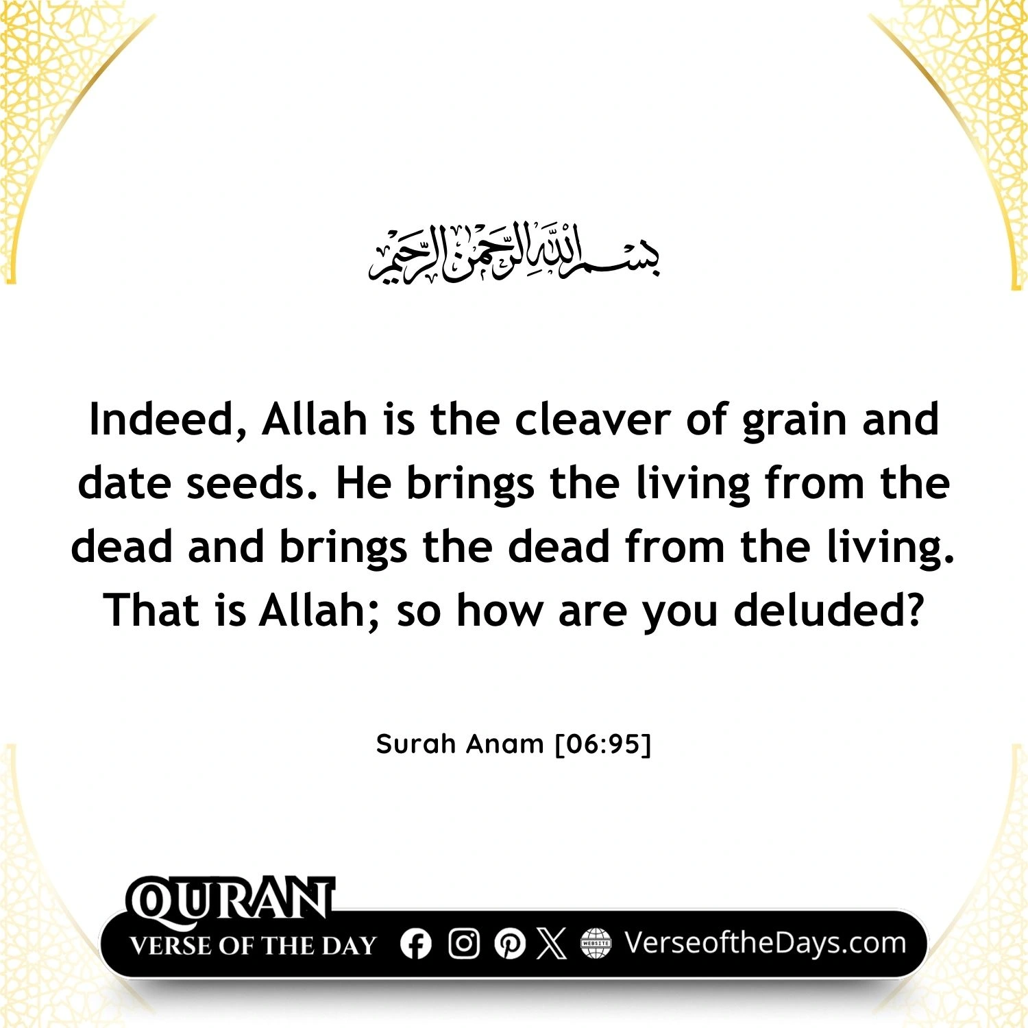 Surah Al-An'am Verse 95