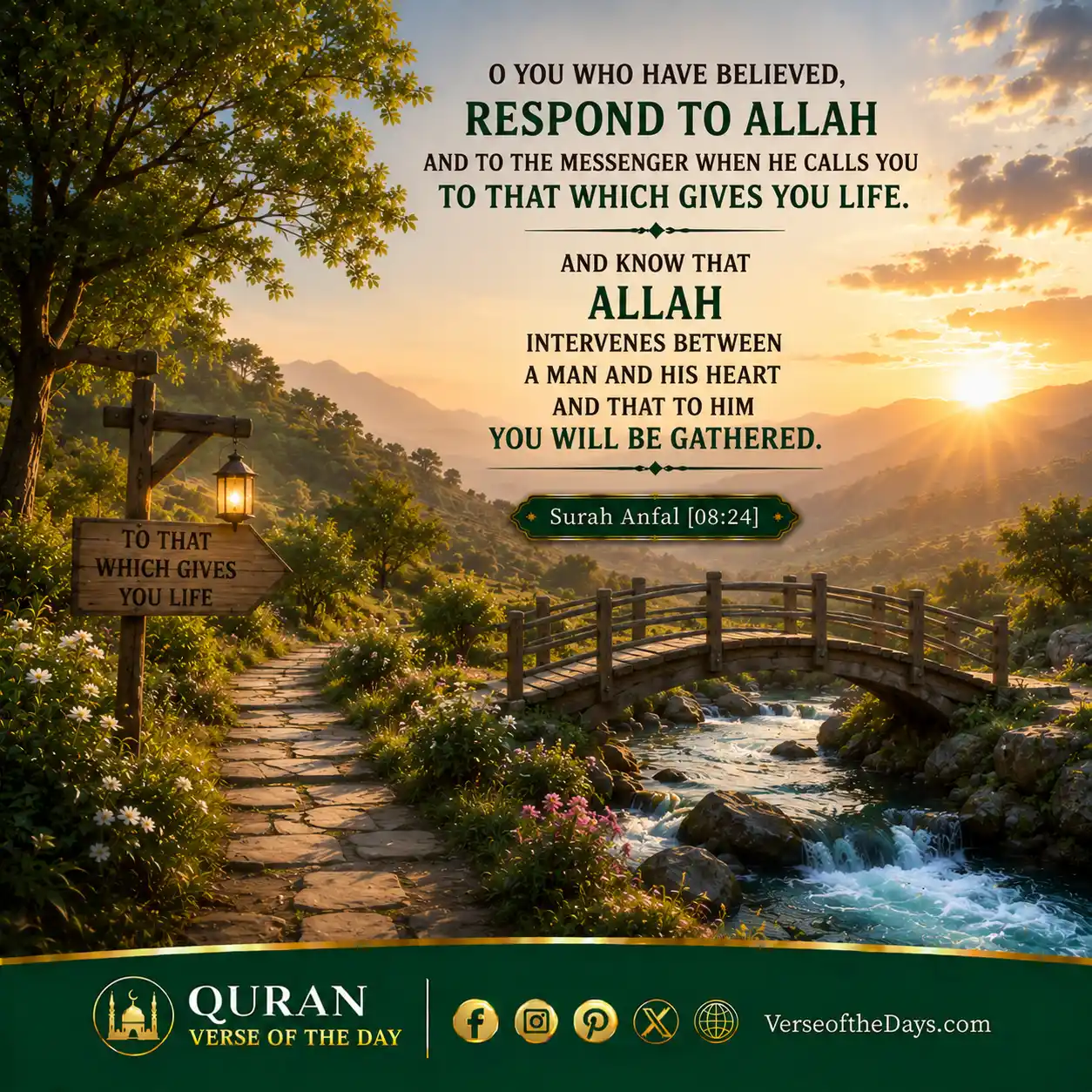 Surah Al-Anfaal Verse 24