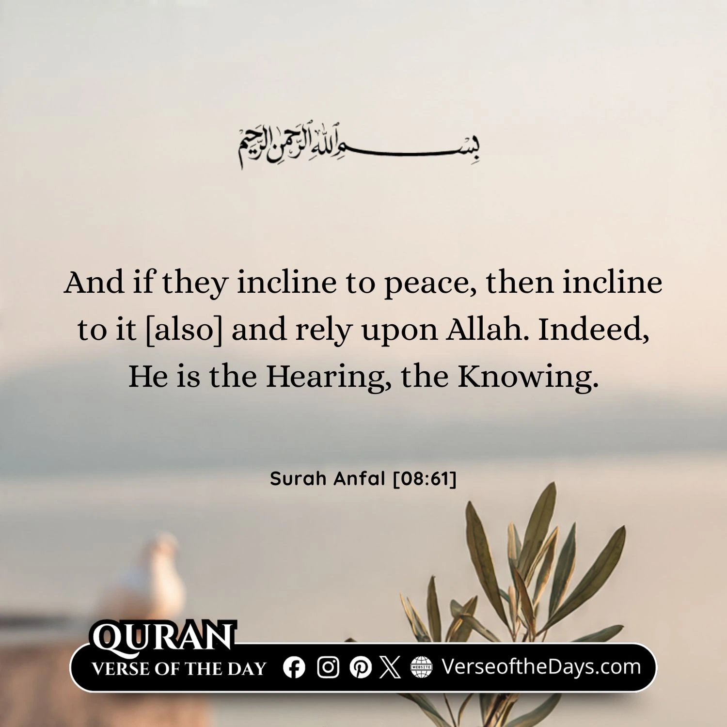 Surah Al-Anfal Verse 61