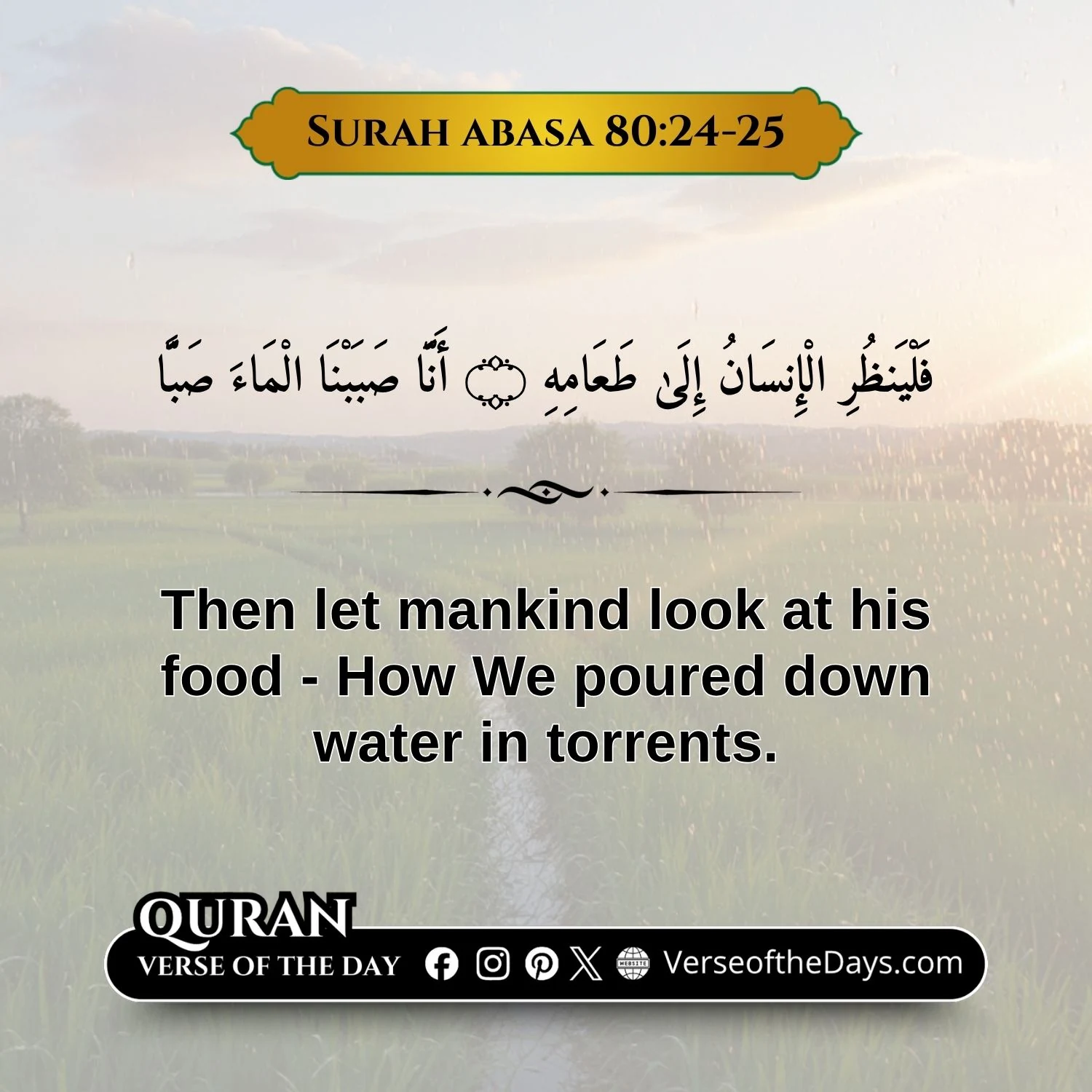 Surah Abasa Verse 24-25
