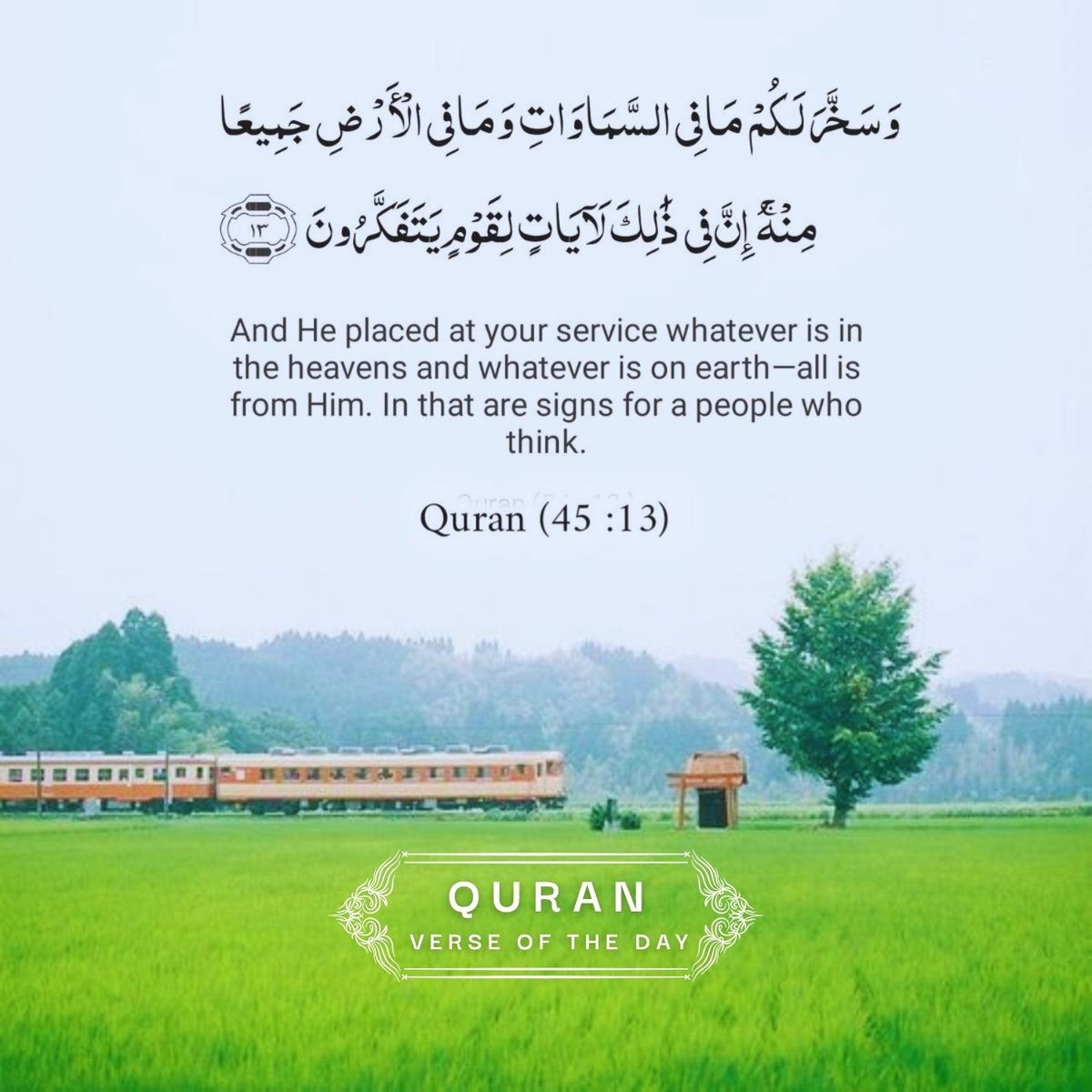Surah Al-Jathiyah Verse 13