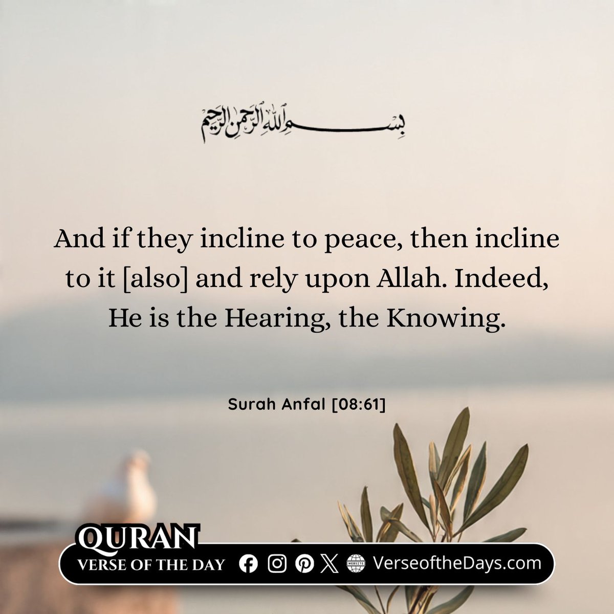 Surah Al-Anfal Verse 61