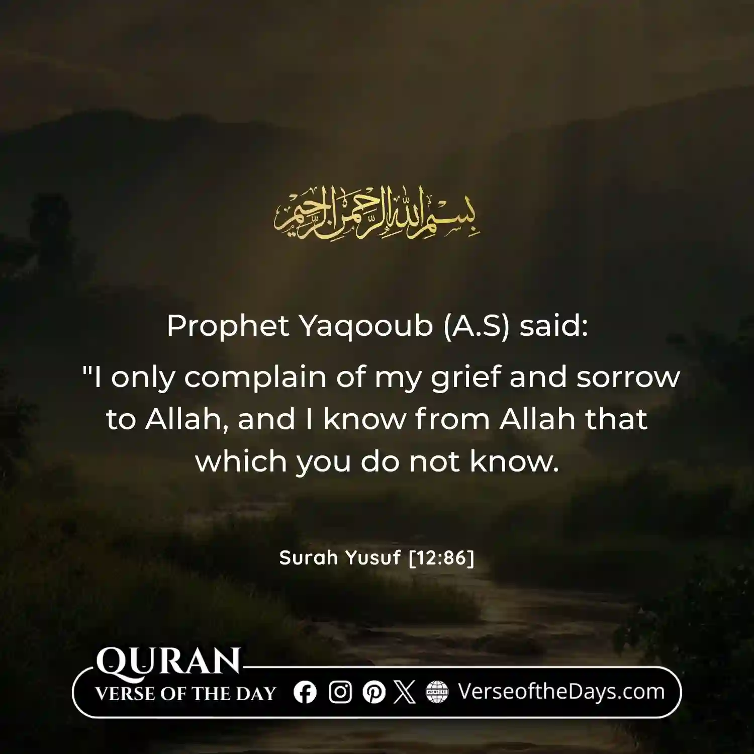 Surah Yusuf Verse 86